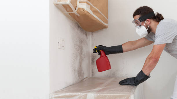 Professional Commercial Mold Remediation technician working in Wenham, MA